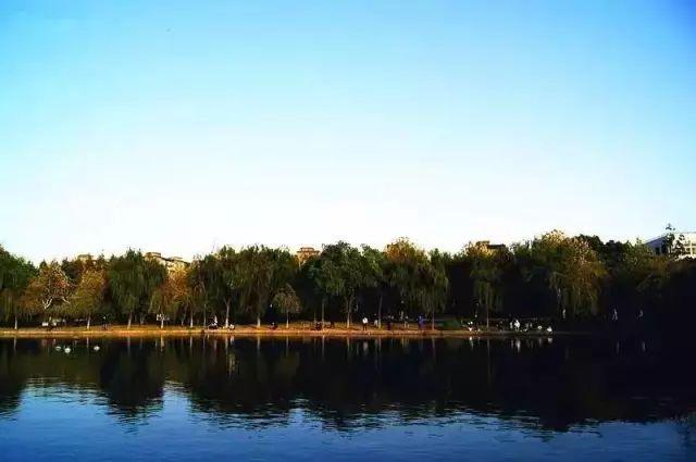 月浦地铁最新规划公布，科技驱动城市脉络，智能出行新时代的来临