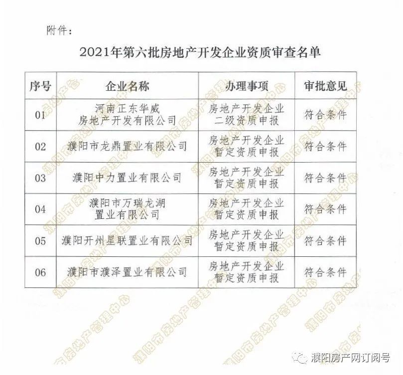 濮阳梧桐树最新动态揭秘，发展、变化与关注焦点