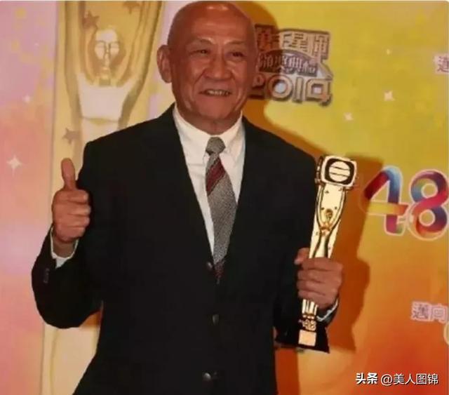 演员家鼎，星光璀璨的时代巨匠，演艺界的璀璨明珠