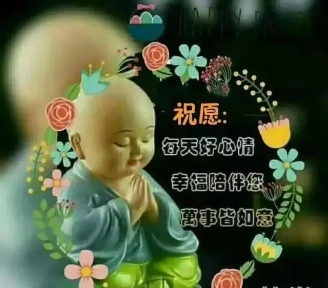 每日精选问候语，传递时代的温暖情感