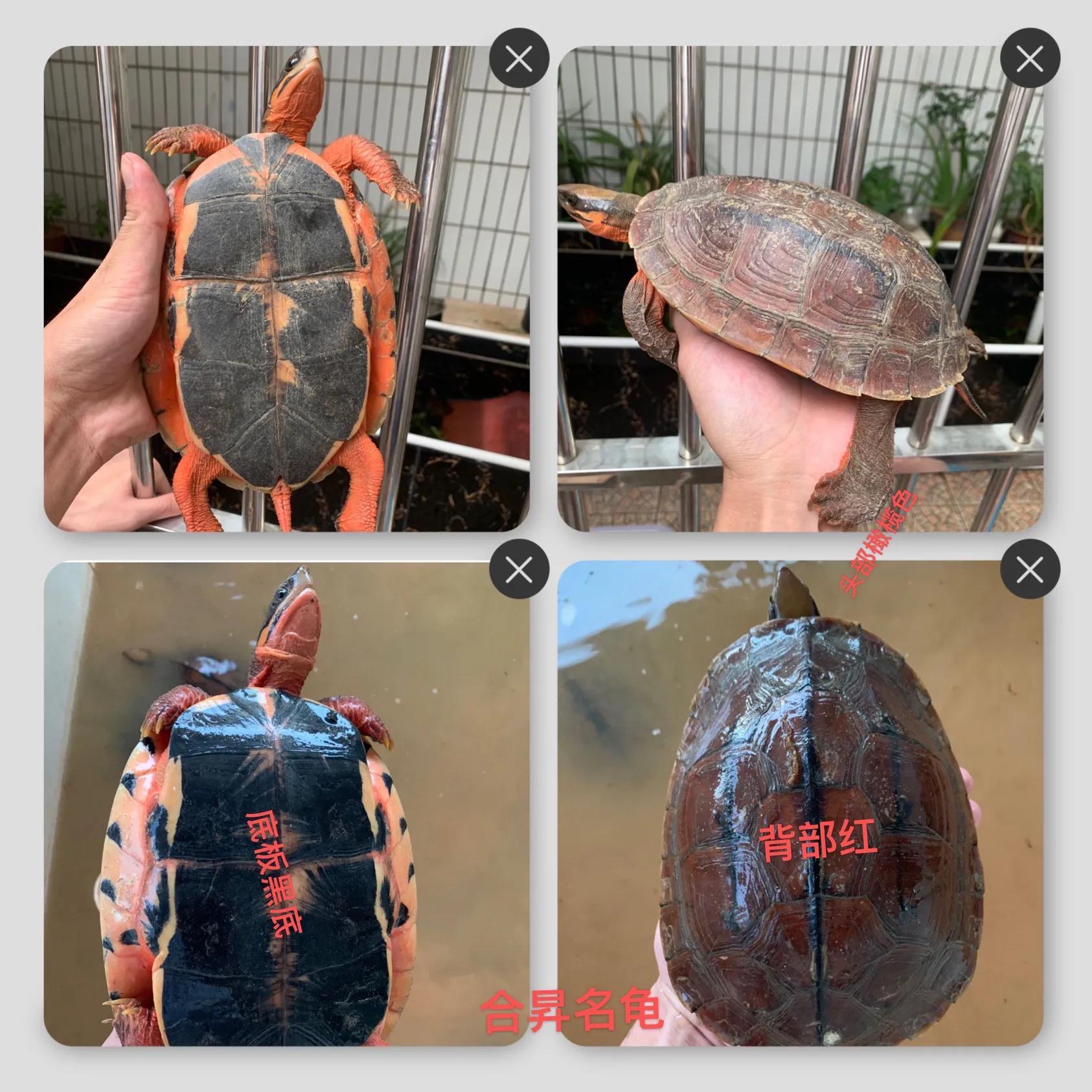古钱币 第46页