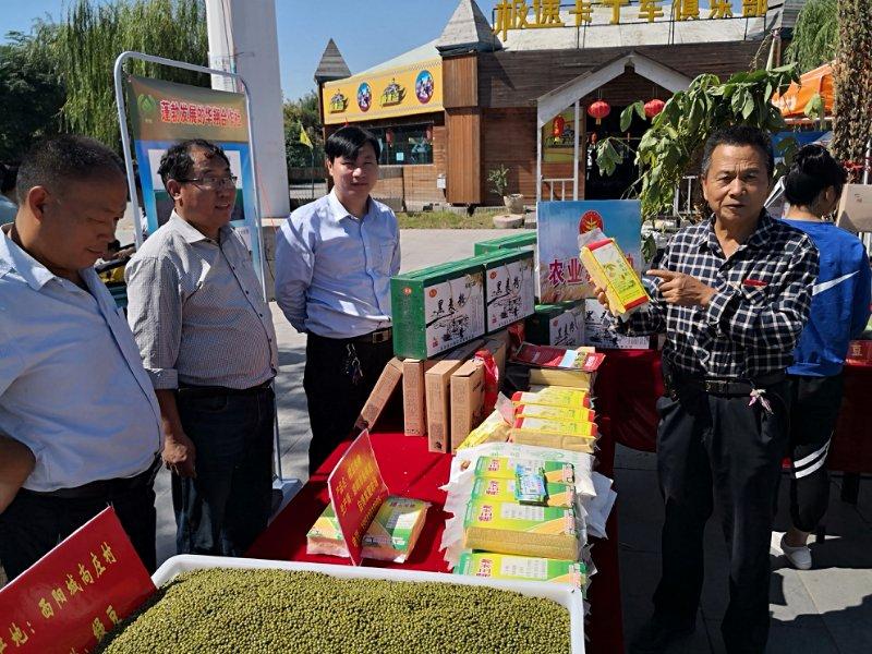 永年大蒜最新行情分析与市场动态