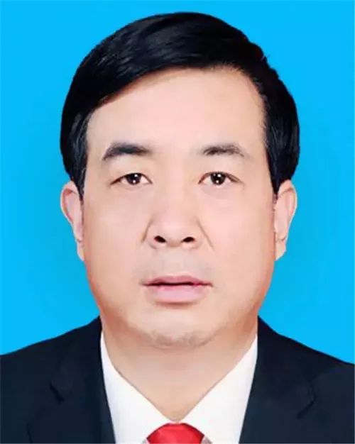 张连森最新任免动态揭晓，最新消息一览无余