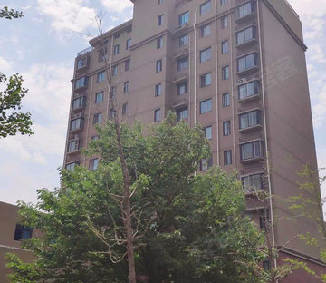 泗水信息港房产最新动态，城市美景与居住选择🏠🌆