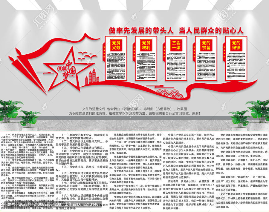 最新党员义务解读，某某观点下的探讨与论述