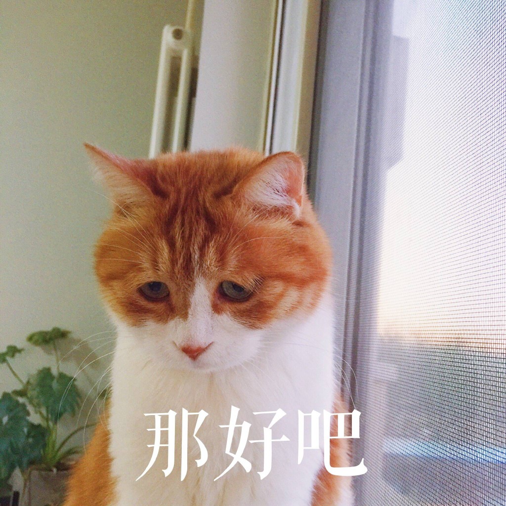 探秘小巷深处的独特风味，最新版那好吧 1.5.8.3 体验分享